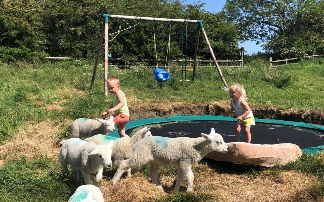 It’s nearly lambing time .. and I’m a little nervous!