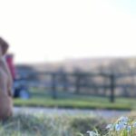 Connie Blog Background