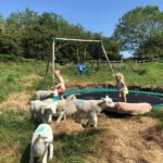 Lambing Season at Farm Adventure