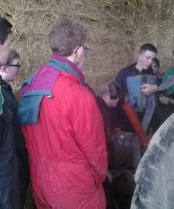 Farm Education Courses at Farm Adventure