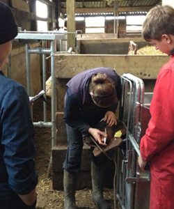 Farm Education Courses at Farm Adventure