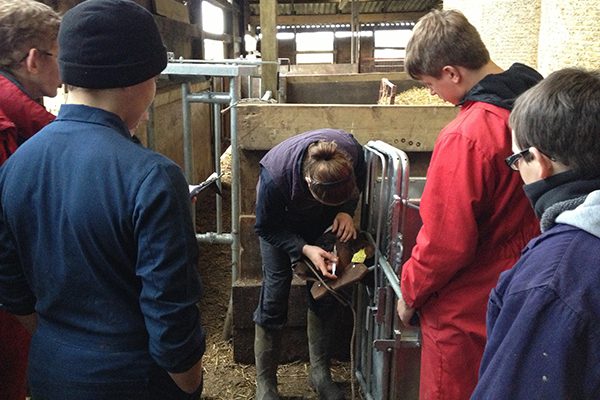 Farm Education Courses at Farm Adventure