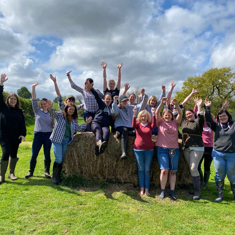 Farm Adventure Birthday Parties