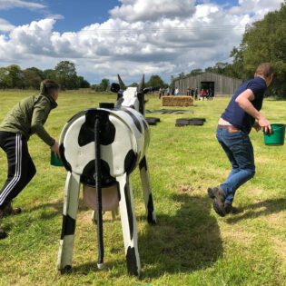 Farm Adventure Corporate Team Building Activities