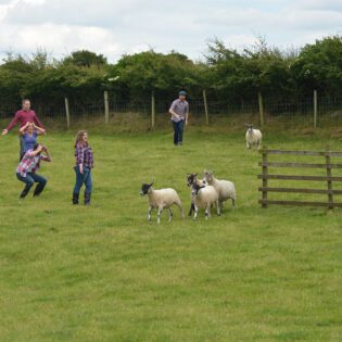 Farm Adventure Corporate Team Building Activities