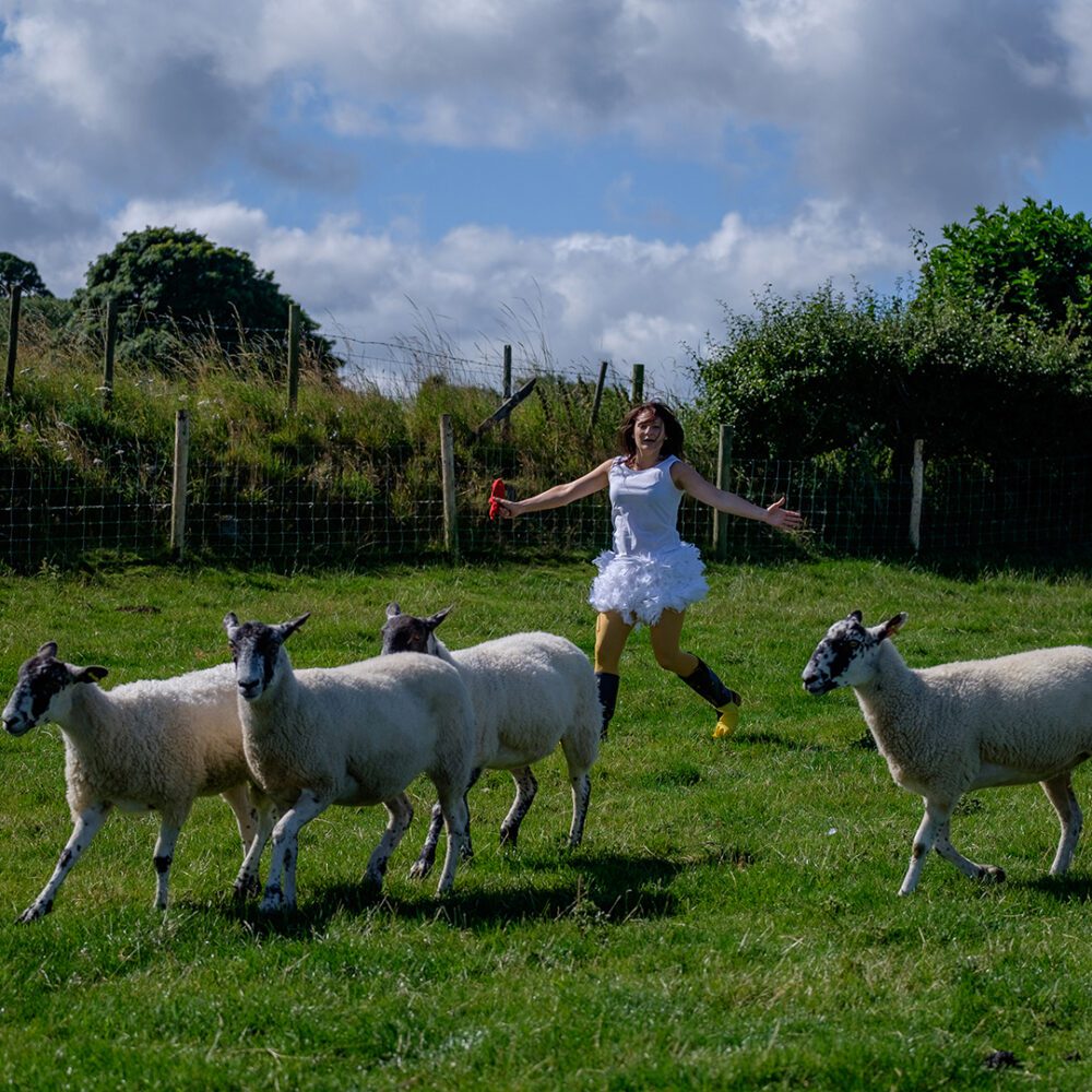 Hen Parties at Farm Adventure