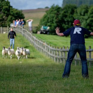 Stag Parties at Farm Adventure