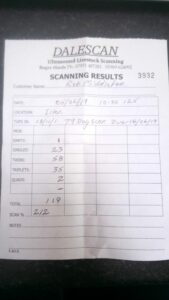 Lambing-Live-P1-3-scaled