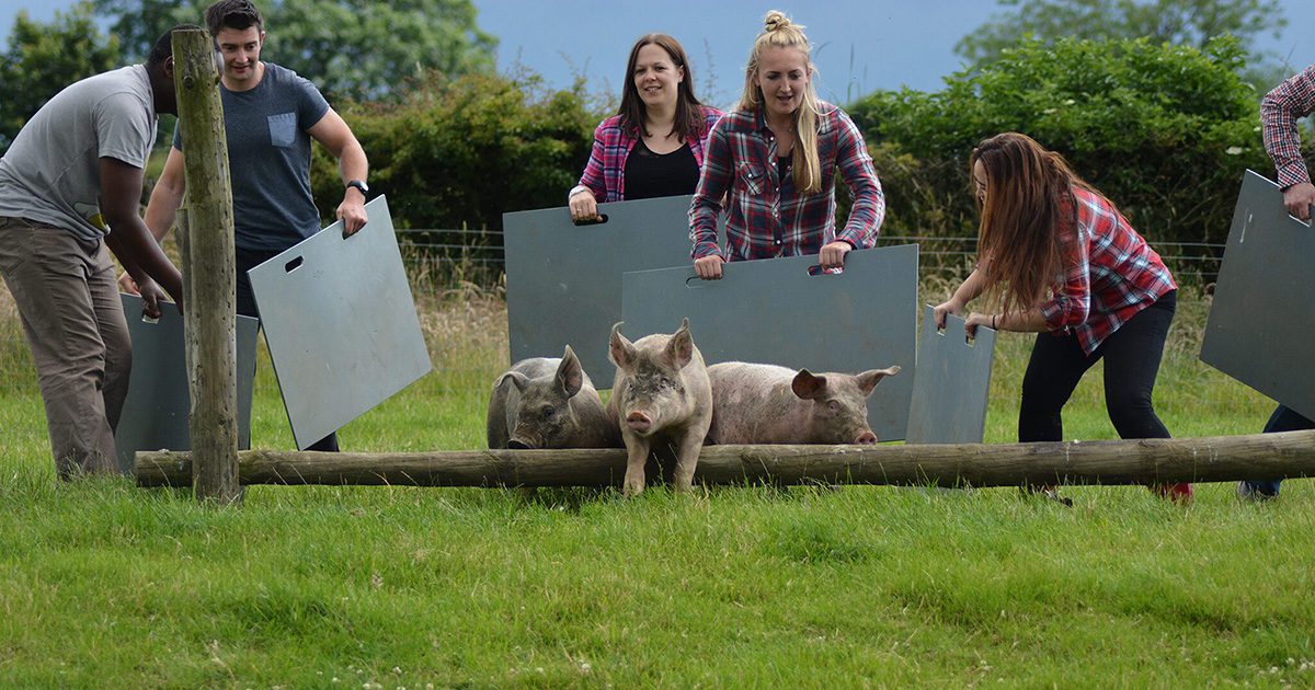 Outdoor Activities & Adventure Farming Experiences Farm Adventure