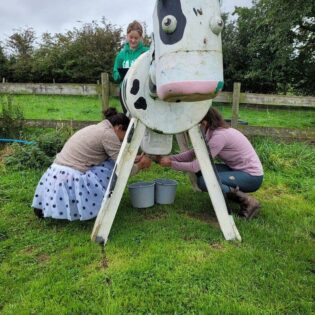 Farm Adventure Team Building Milking Cow