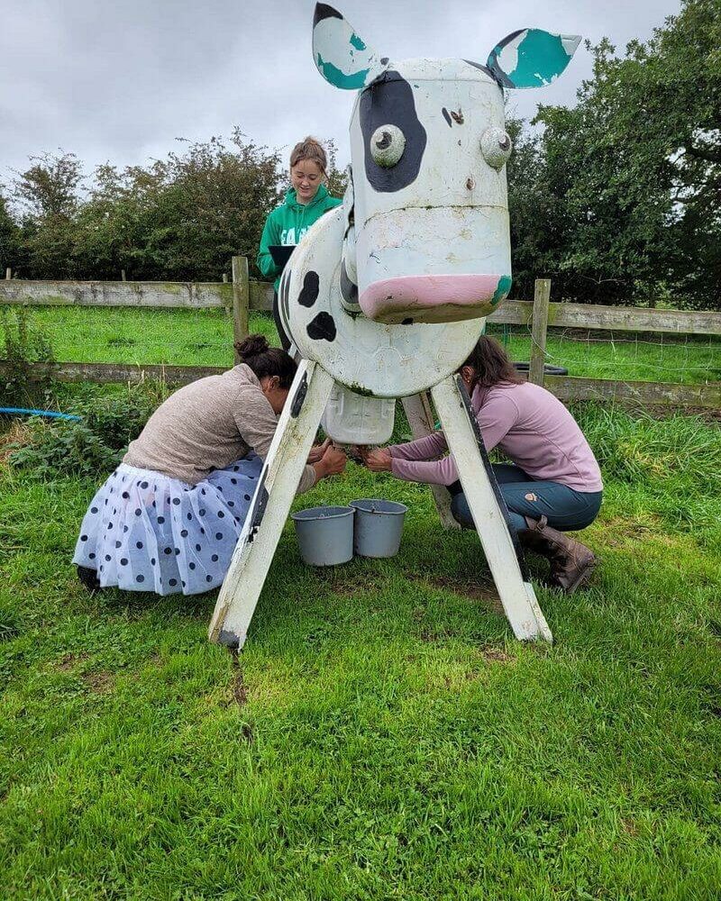 Farm Adventure Team Building Milking Cow