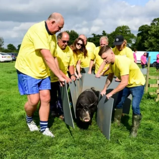 Farm Adventure Pathways
